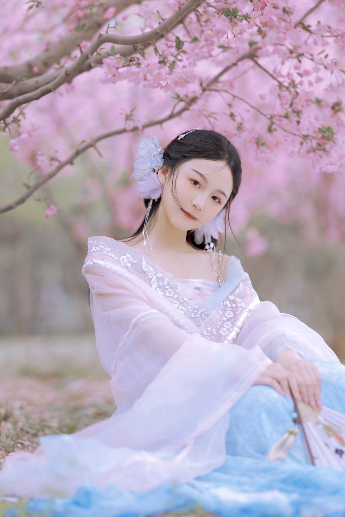 风骚律师